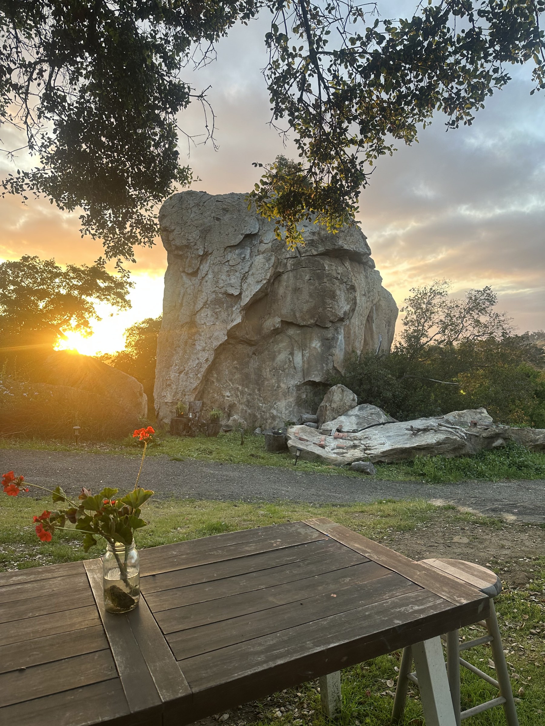 Backyard scene at sunset